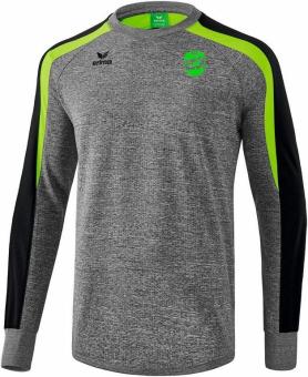 Liga 2.0 Sweatshirt DJK Fasangarten grau melange/schwarz/green gecko | M